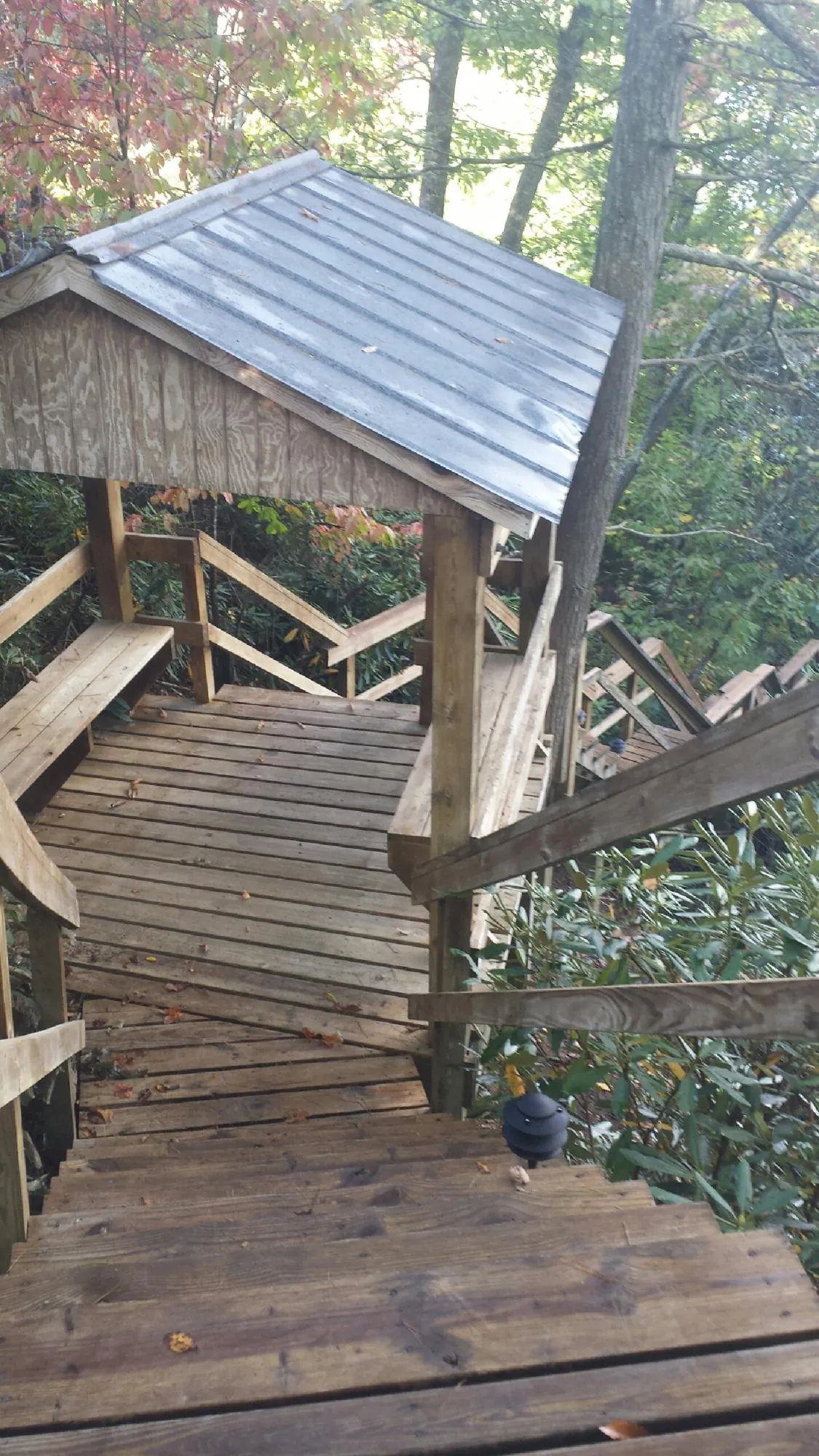 Metal roofed shelter over wooden steps on a wooded walkway — Skylight Repair & Installation work by our crew in Mayslick